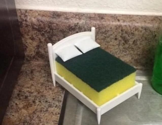 Delphine tweet media