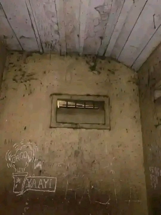 Szymanski tweet media