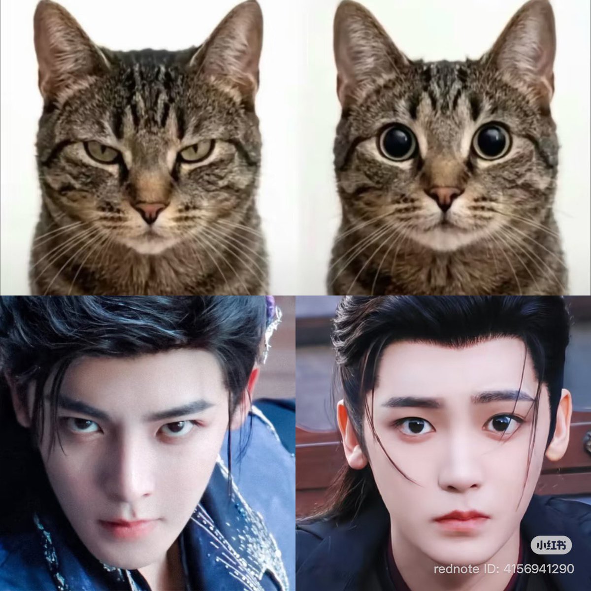 ถั่วงอก 🐱˚⊹ tweet media
