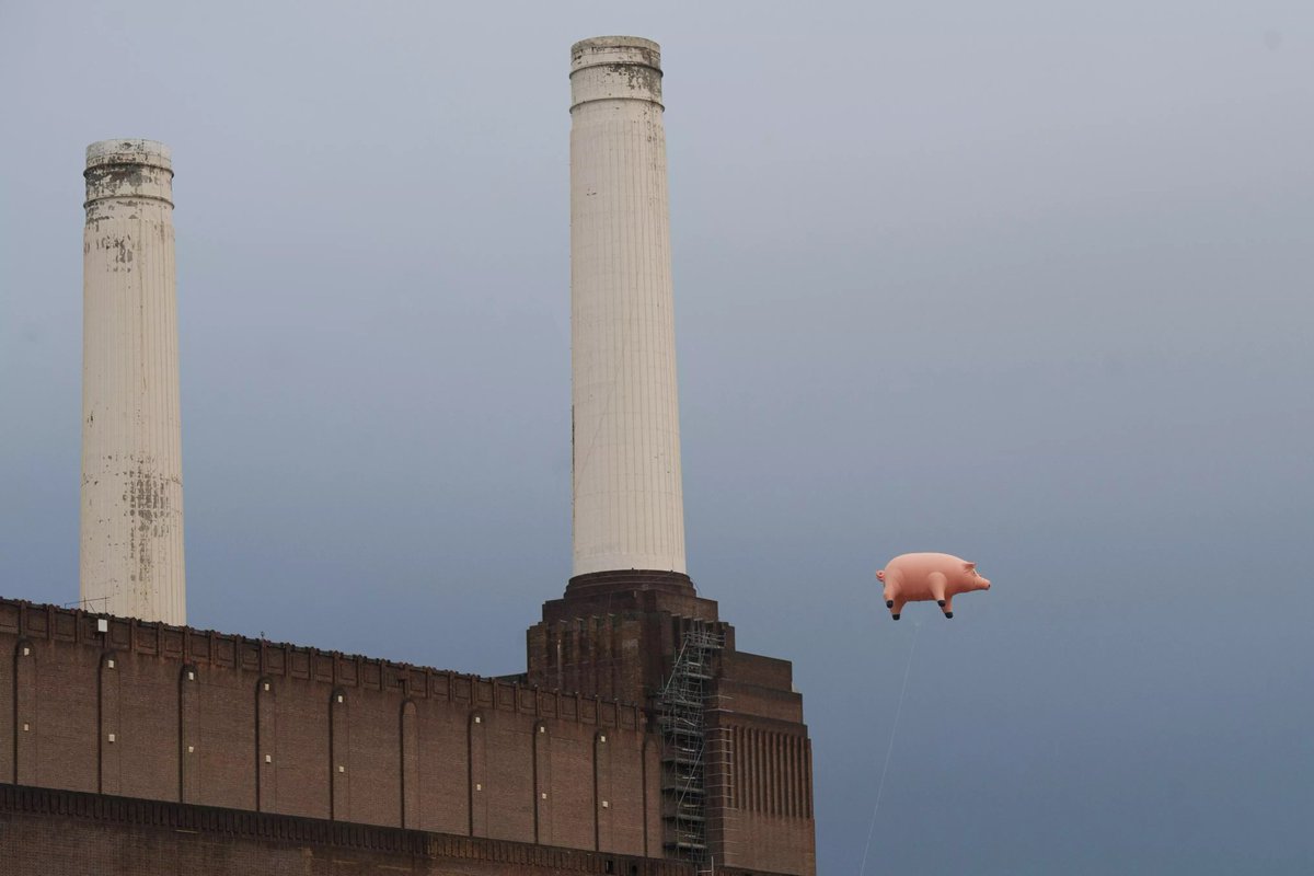 Just_pinkfloyd's tweet photo. https://t.co/7ni9hZLZ4p