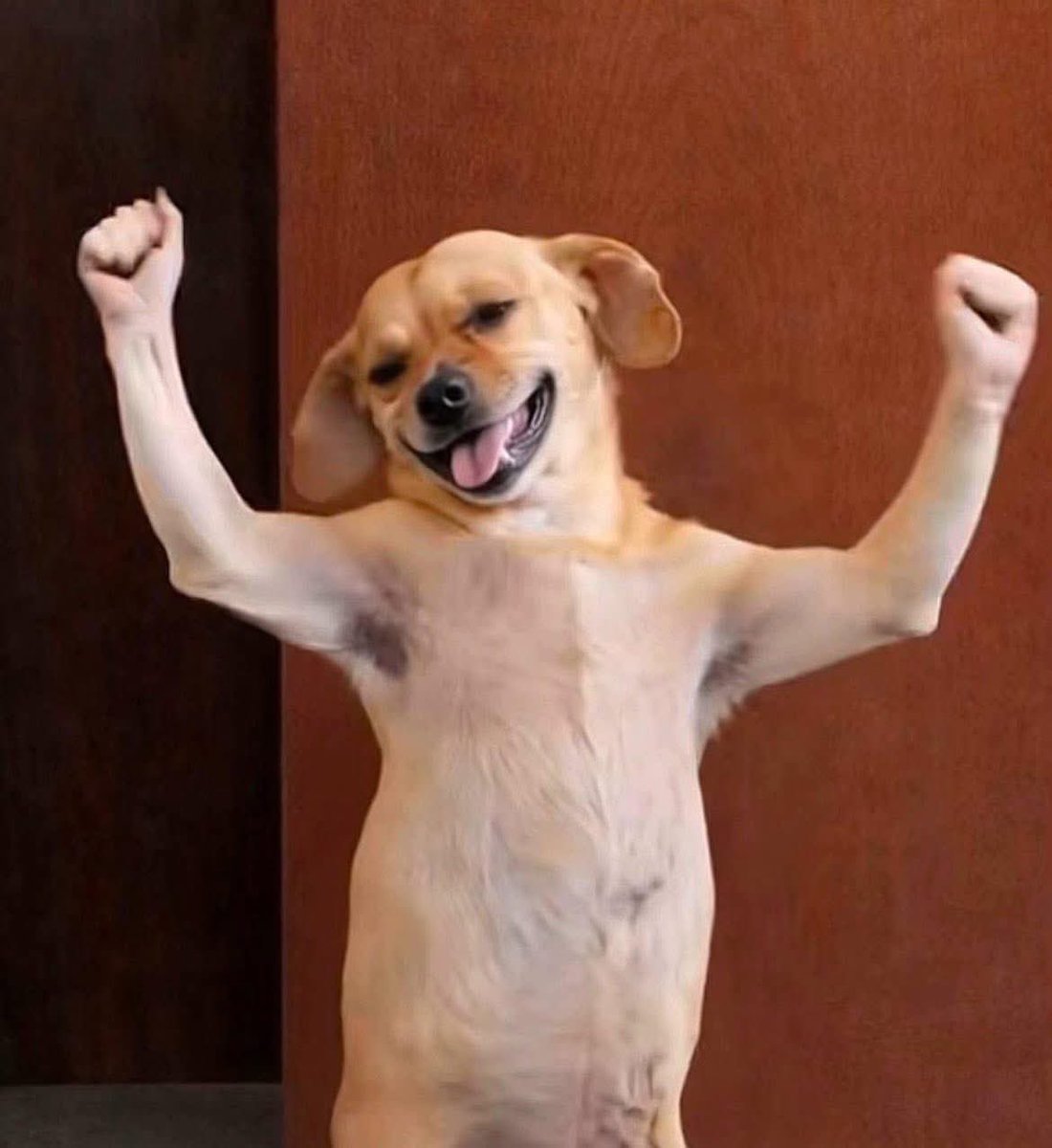 Mr Timzo 🇳🇬 tweet media