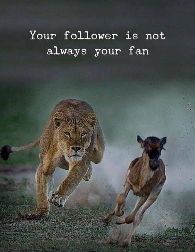 Alex_On_Mars's tweet image. Not everyone who follows you is cheering for you. Some are simply waiting for you to stumble. Choose your circle wisely. 

#RealSupport #Leadership #LifeLessons #StayAlert