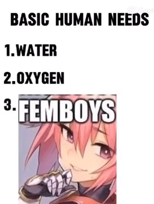Femboy Gang tweet media