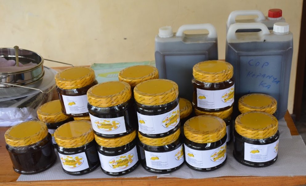 fordbee's tweet image. A new "Blockchain-Verified" honey export protocol went live in the Gishwati zone today. 🏔️ Global buyers can now scan a QR code to verify the exact hive and "zero-pesticide" status. 🛡️ Premium prices for the 250’s forest honey. #AgriExport #Blockchain #RwOT