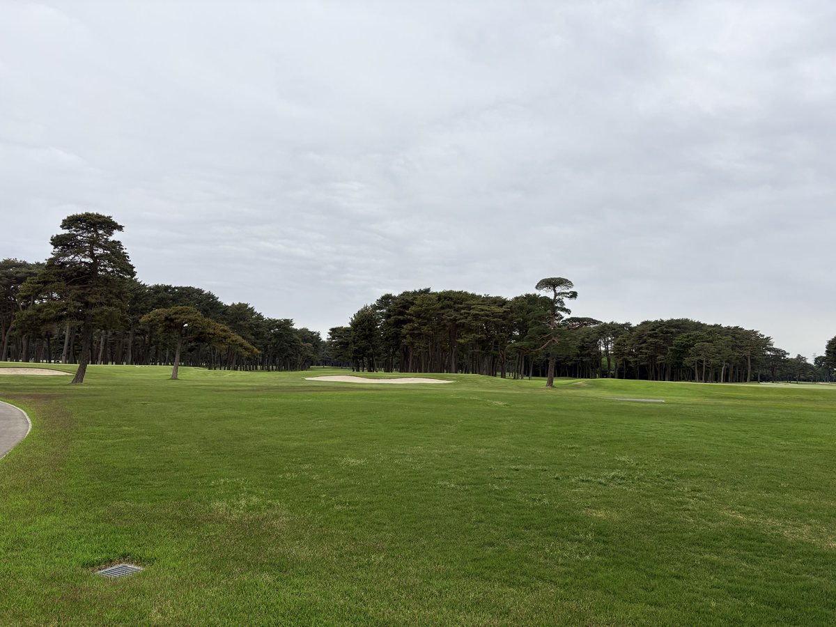 #断酒1545日目
☁️の木曜🏌️‍♂️今日はUQでラウンド⛳️スコアボロボロだしスピード違反で捕まるし何だか最悪な1日になってしまった😱これからゴルフの反省会で鰻食べに行く!まーこんな日もあるか〜😁大事故の前に未然に防げたと思うしかない🤔#Twitter断酒部