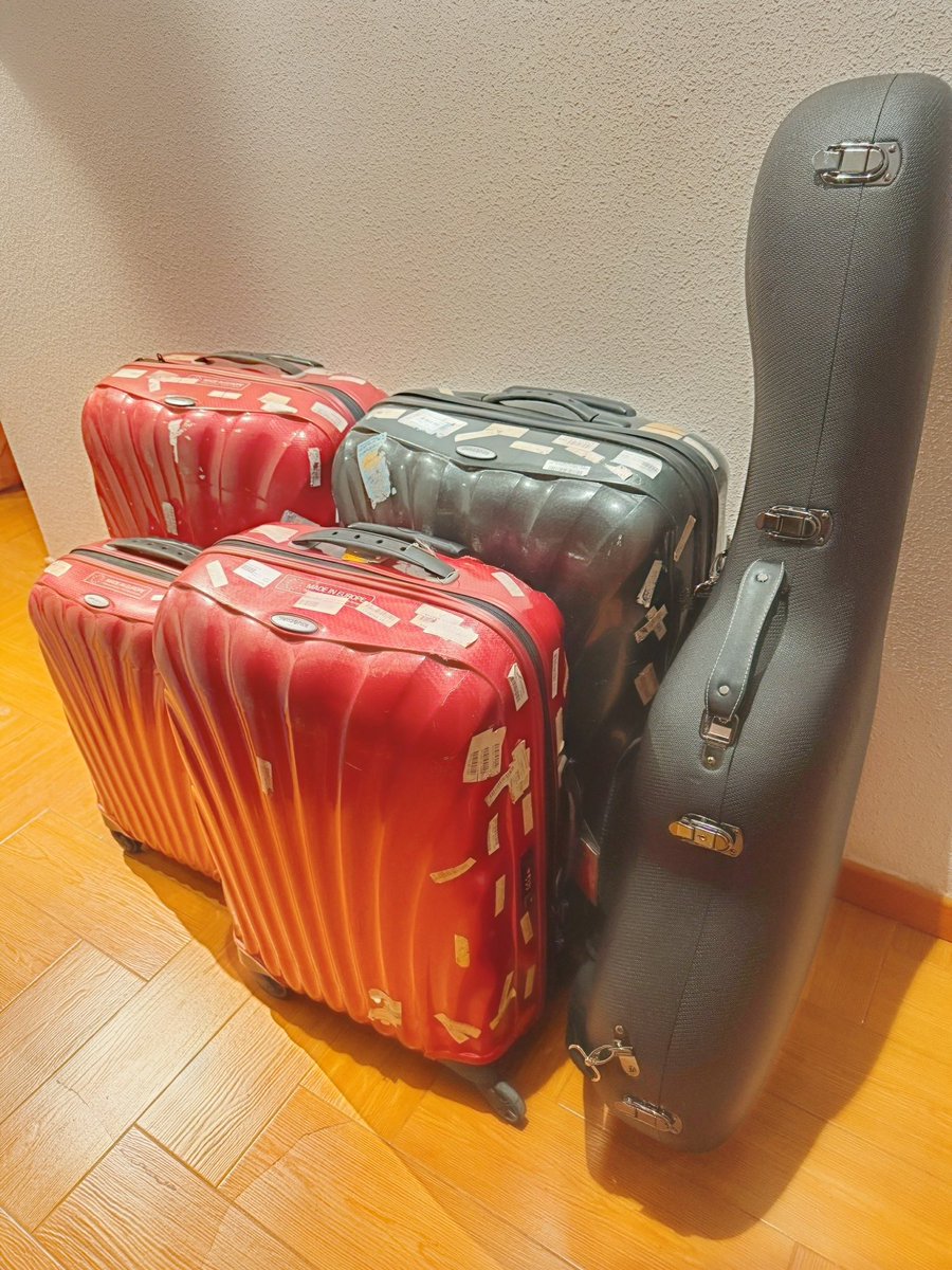 まりこのスペイン語🇪🇸 tweet media