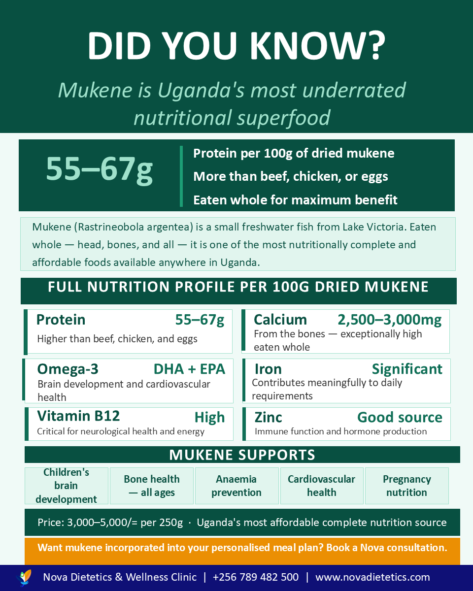 Nova dietetics & Wellness Clinic tweet media
