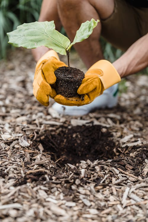 ojcius's tweet image. Editorial for special issue:

“Microorganisms and food security under #climatechange scenarios: From taxonomy to host–microbe interactions”

Photo by Lara Jameson from Pexels.

sciencedirect.com/science/articl… #OpenAccess #microbiology