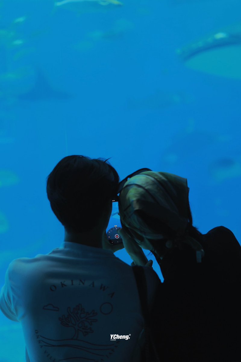 วัตถุวีนไว x BiBi Overdose 🤟🏻 tweet media