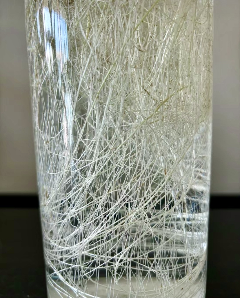 chuluunhvv tweet media