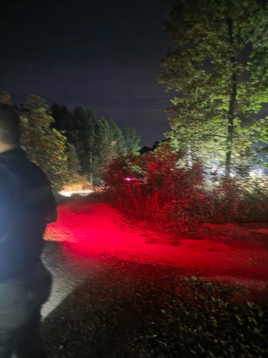 Chibi Reviews tweet media