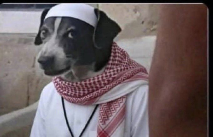 Bigsammie tweet media