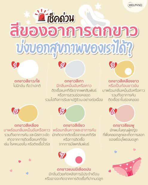 แชร์สิ่งที่ใช้จริงแล้วอยากบอกต่อ♥️ tweet media