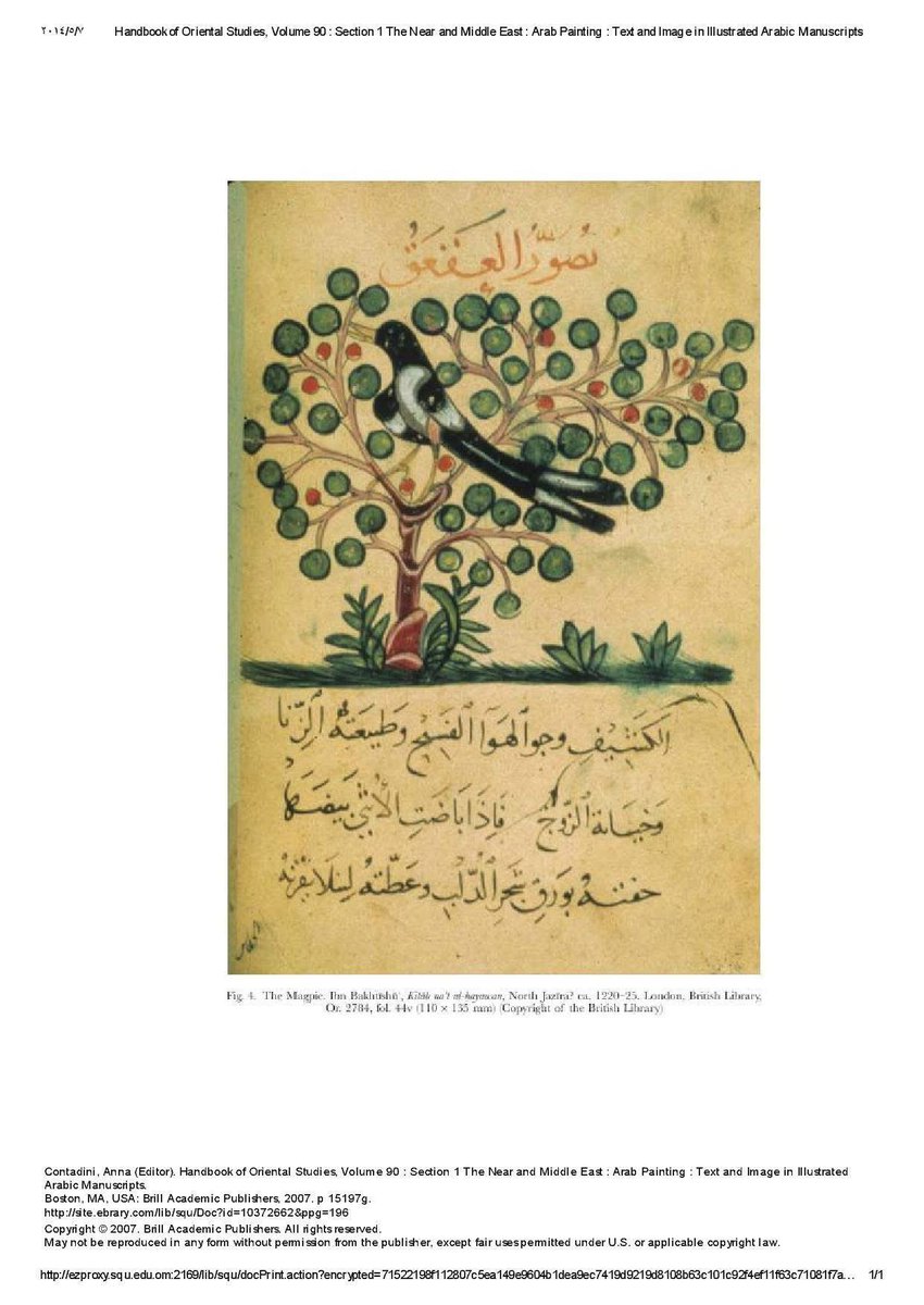 هلال الحجري tweet media