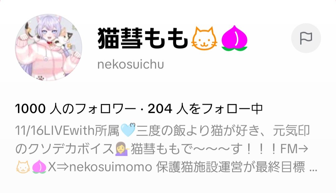 T19968405T's tweet image. 他のヌコは運動会してるのに爆睡中🐱
推し活も🤣
#猫　#猫のいる暮らし　#ペット
#猫彗もも　#推し活　#TikTok