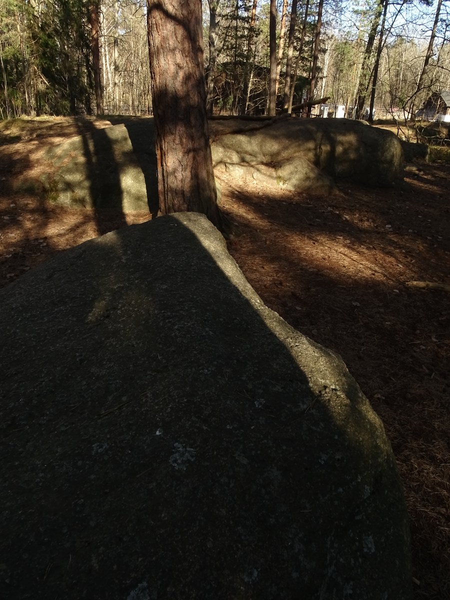 Finnsanity's tweet image. Vappua

:: #kevät #valokuvaus #arhikuittinen