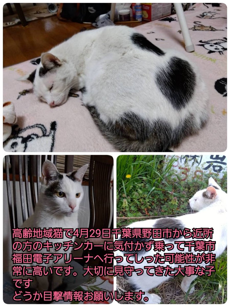 ドン・ぶっちゃ tweet media