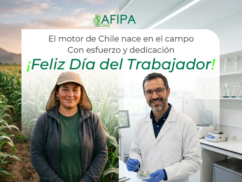 Afipa A.G. tweet media