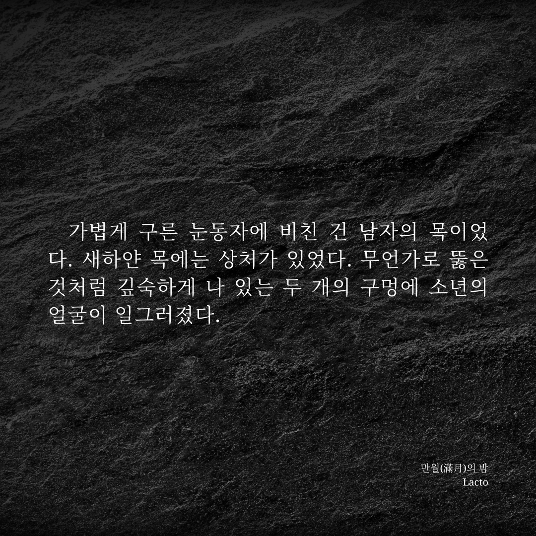 락토 tweet media