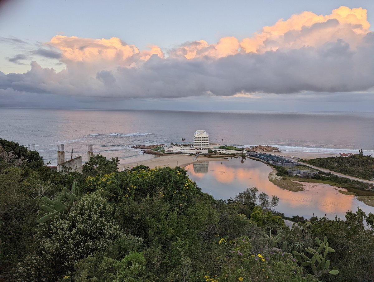 2TallTom's tweet image. Cruising the garden trail. #SouthAfrica

Keep your eyes moving.
So many animals there.
You can name them all.

#haiku #travel #cruise #rivercruise  #ABD #Disney  #DCL #follow #Azamara #AmaWaterways #TravelAgent
linktr.ee/2talltom