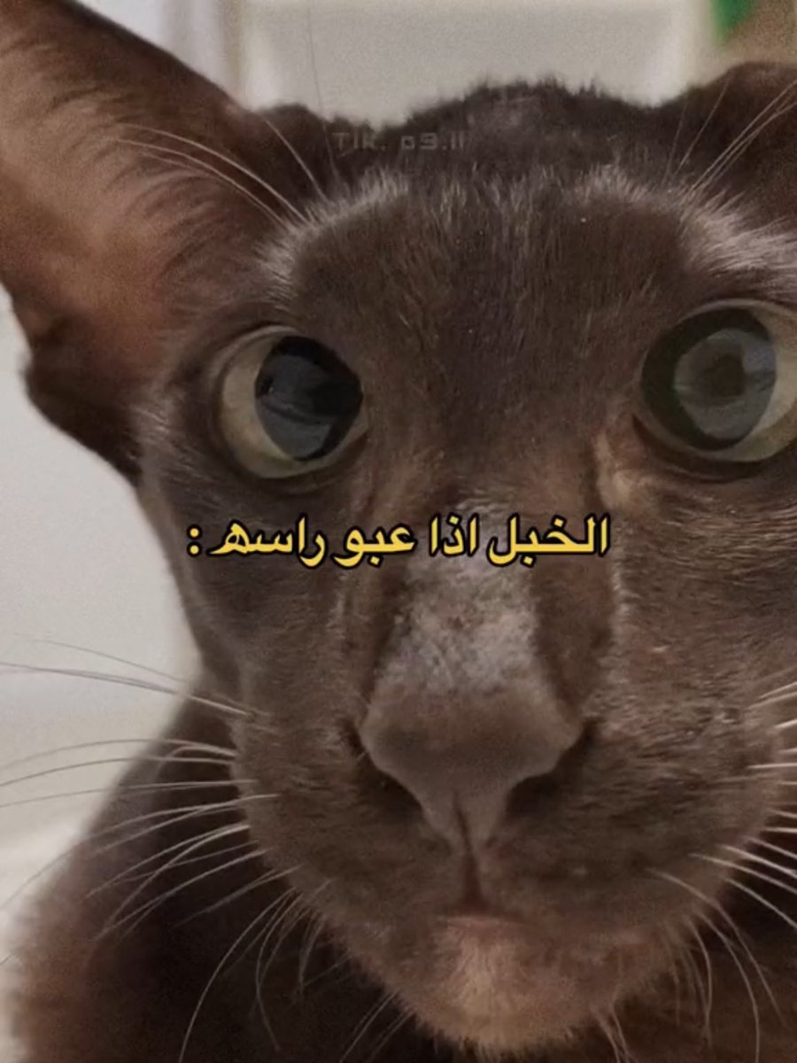 ف tweet media
