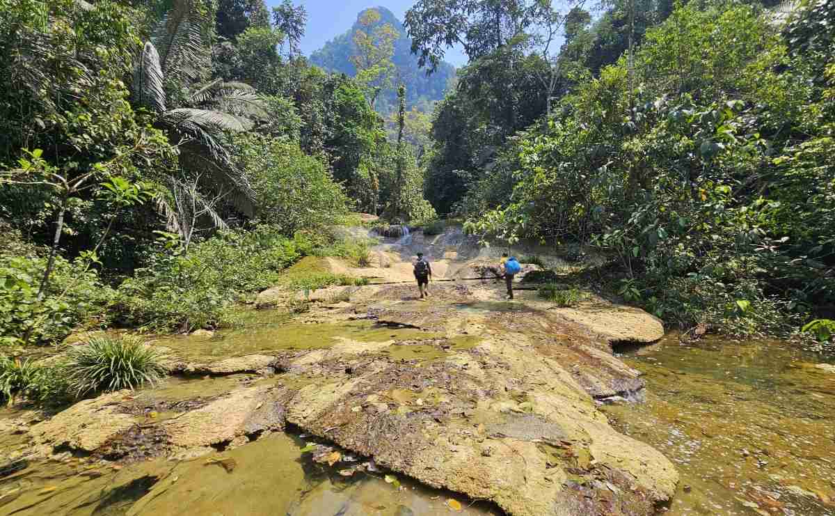 thandojo's tweet image. Inside newly-discovered #Vietnam #cave housing 350-meter #waterfall
Cha Ngheo in Phong Nha - Ke Bang National Park stands out as a rare vertical cavern, stretching 583 meters in length and plunging to a height of 751 meters, with a 350-meter waterfall cascading inside.