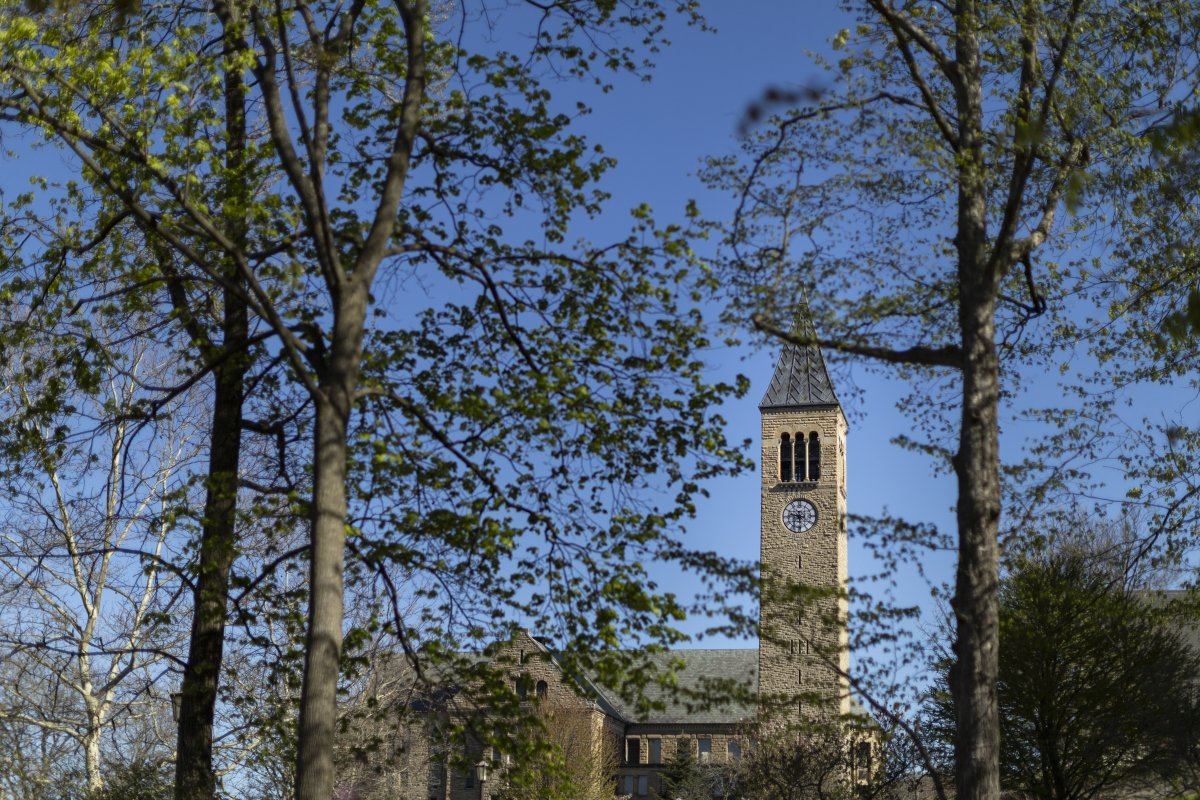 Cornell University tweet media
