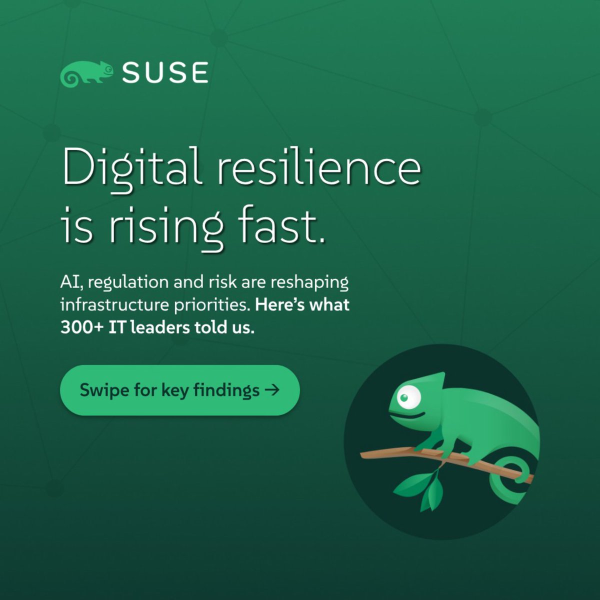 SUSE tweet media