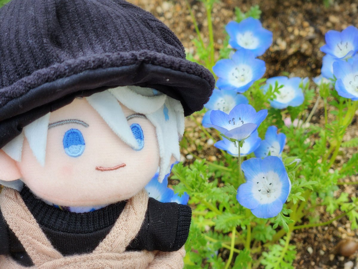 いちか tweet media