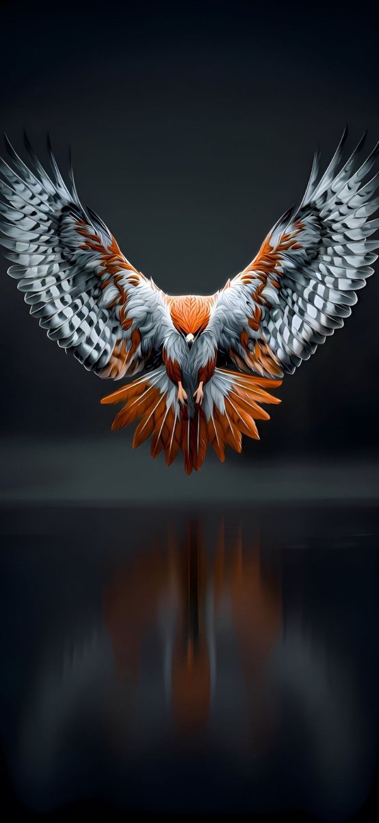 WallPapers 🔥 tweet media