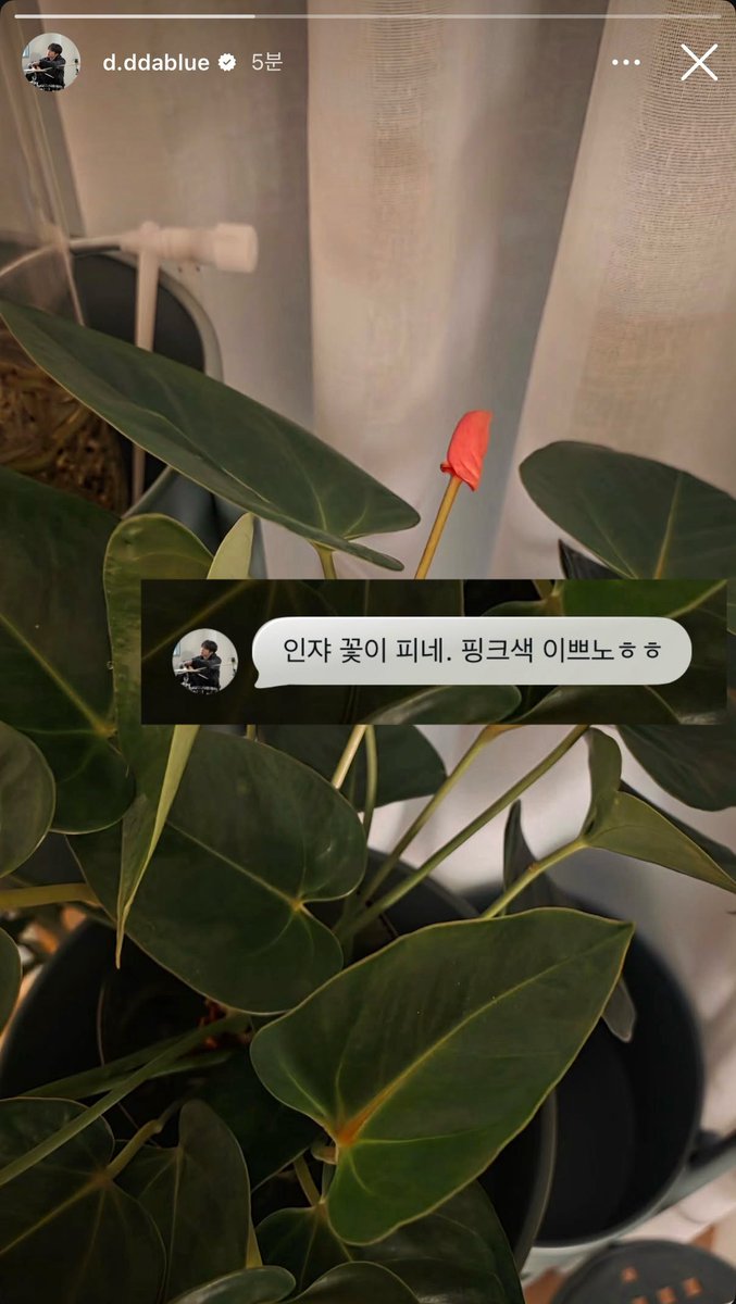 멜로.. tweet media