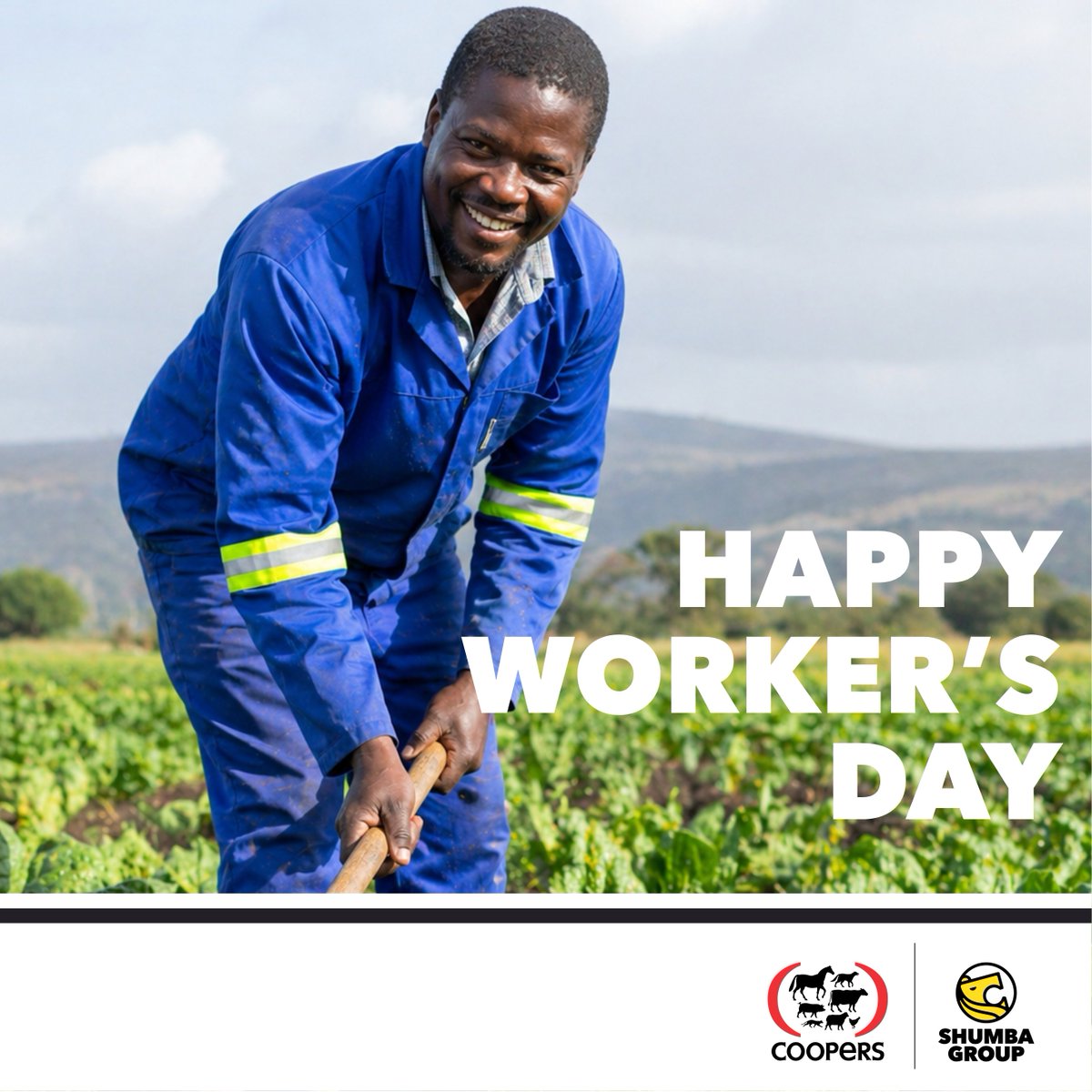 Happy Workers' Day from Shumba Group &amp; Coopers!
Today we celebrate the hardworking farmers that feed the country.

To every farmer, agri-worker, and laborer out there - your work is not just a job, it is what puts food on tables. At Shumba Group &amp; Coopers, we are proud to help