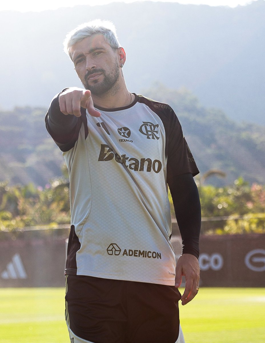 Venê Casagrande tweet media