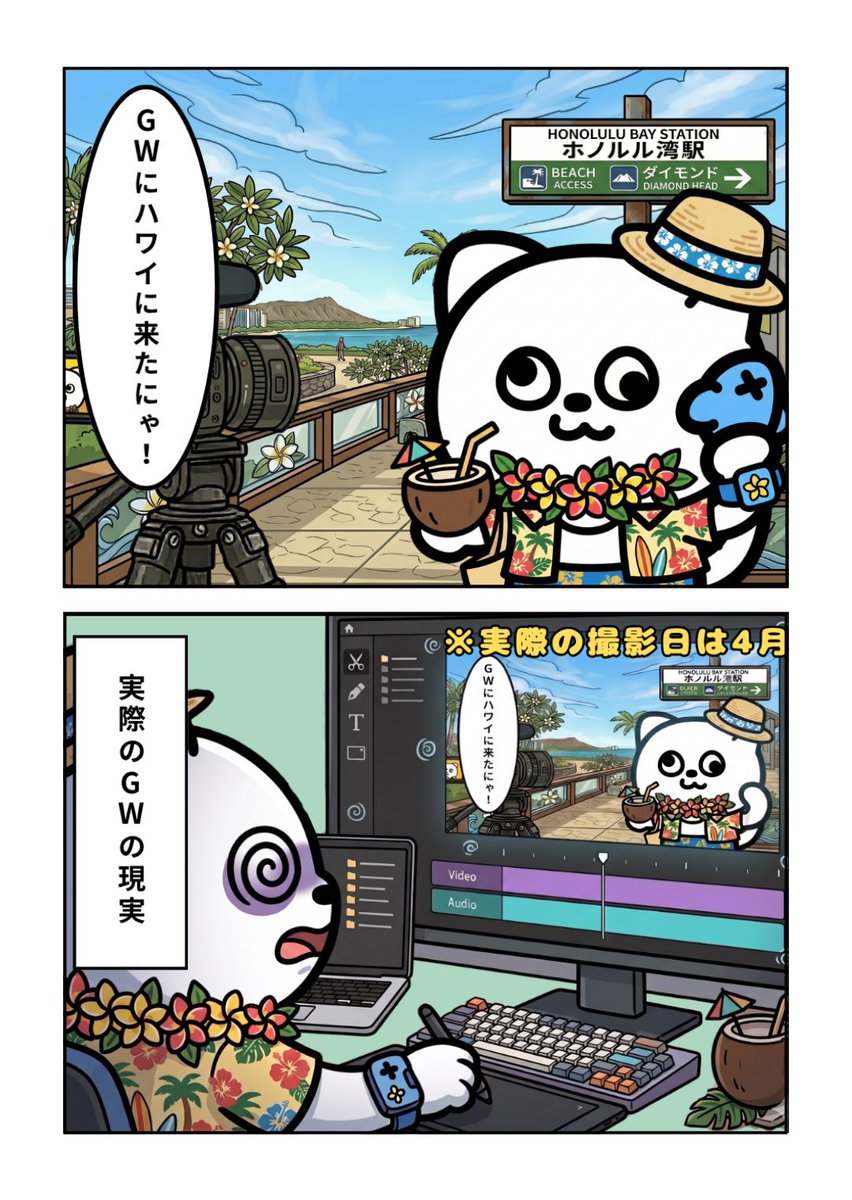 うりぼ〜♫さま　専用 うりぼー/URIBO (@URIBO_0805) / Posts / X