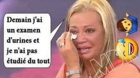 🇨🇵 LUCKAS (Lulu) 🇨🇵 tweet media