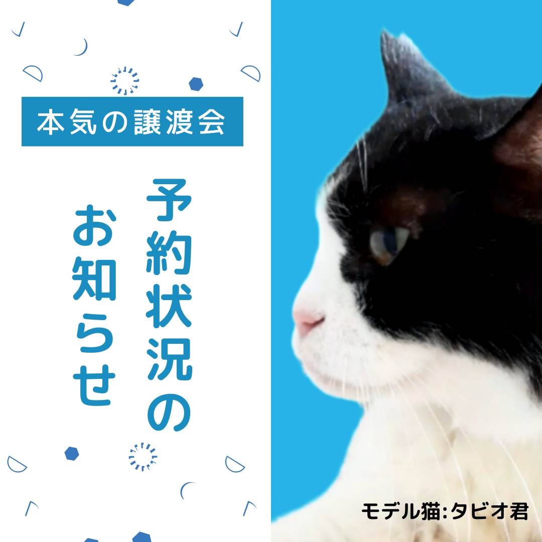 izumi nishimura tweet media