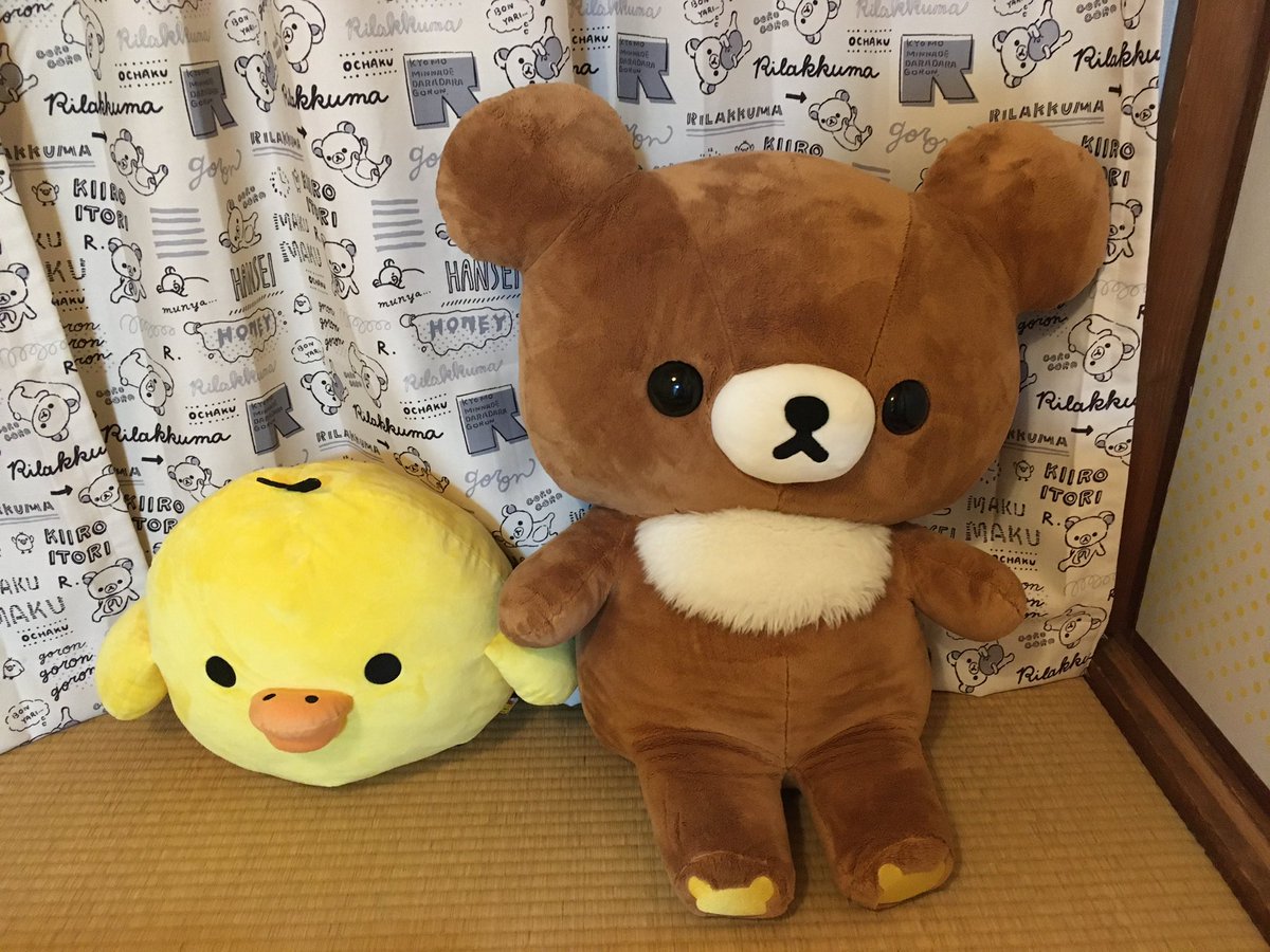 시이나 tweet media