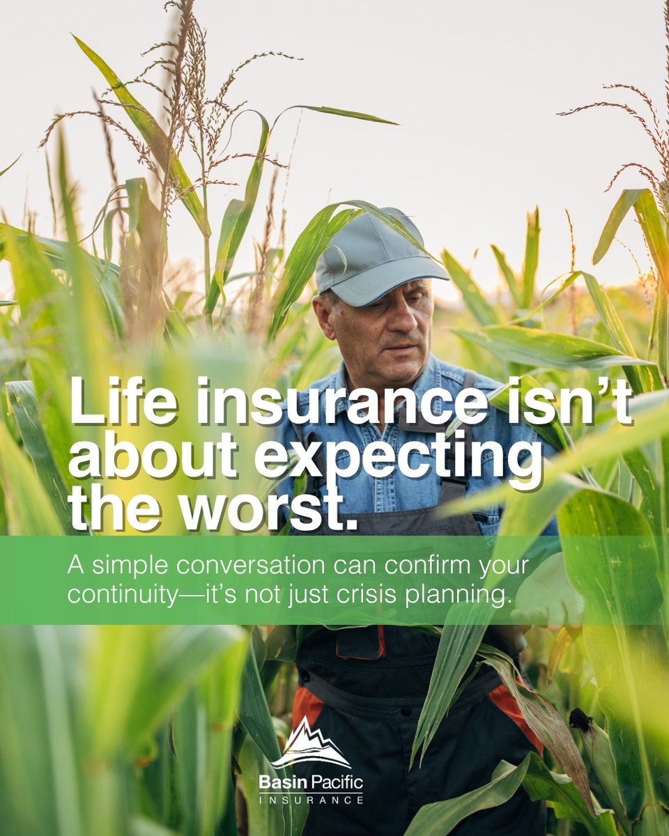 Basin Pacific Insurance tweet media