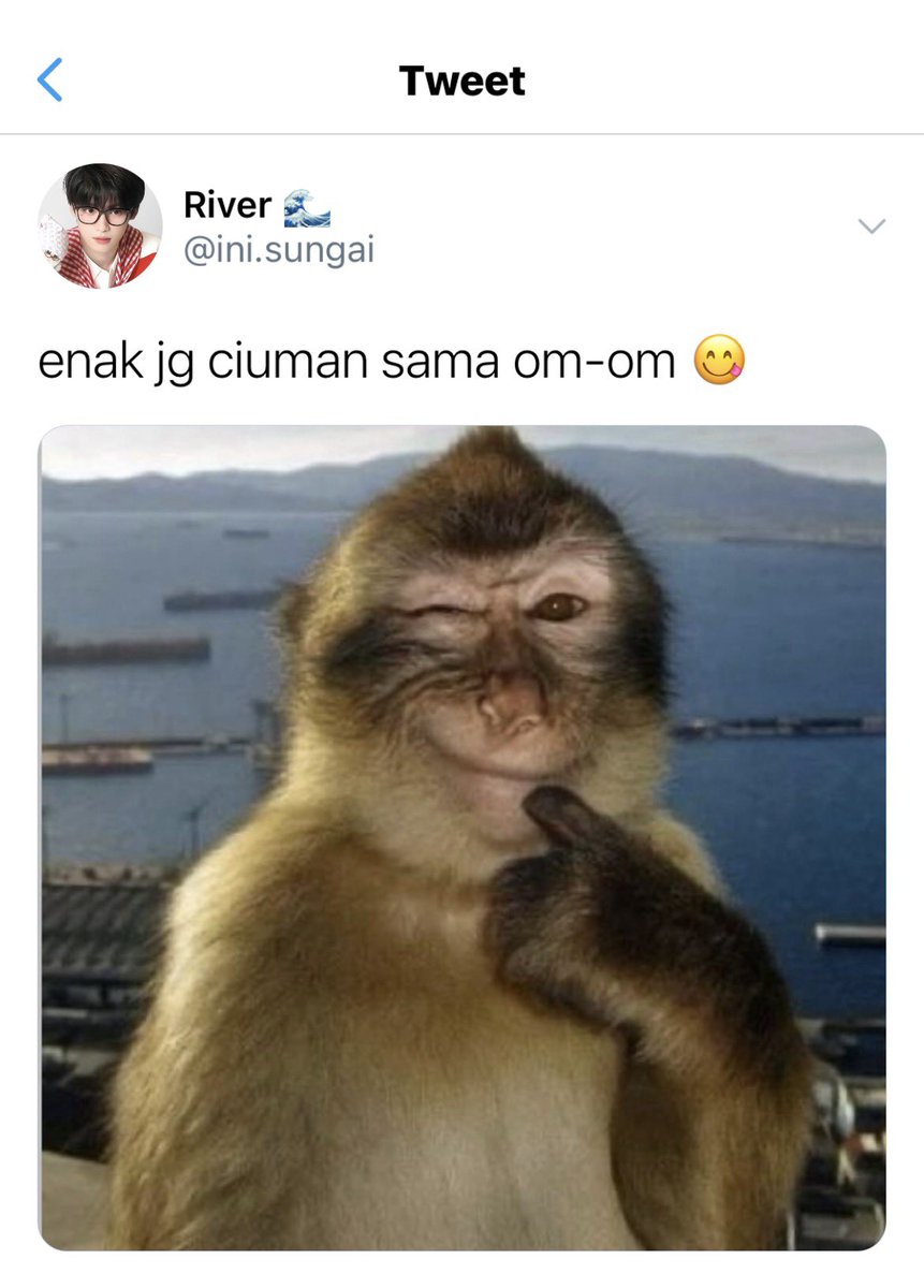 Haera Kim — au tianziyu ongoing tweet media