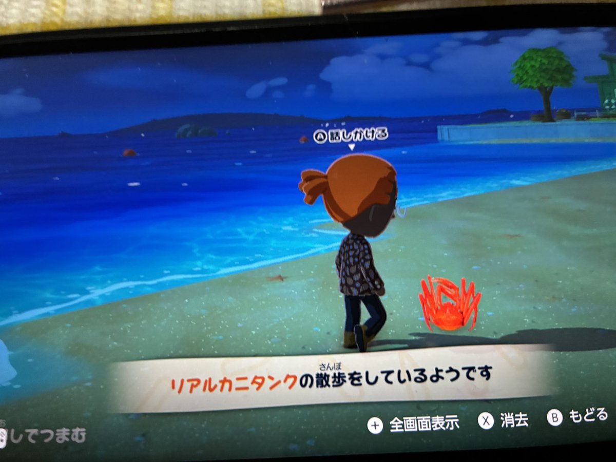 ユルスギ◇5日西１ ウ02a tweet media