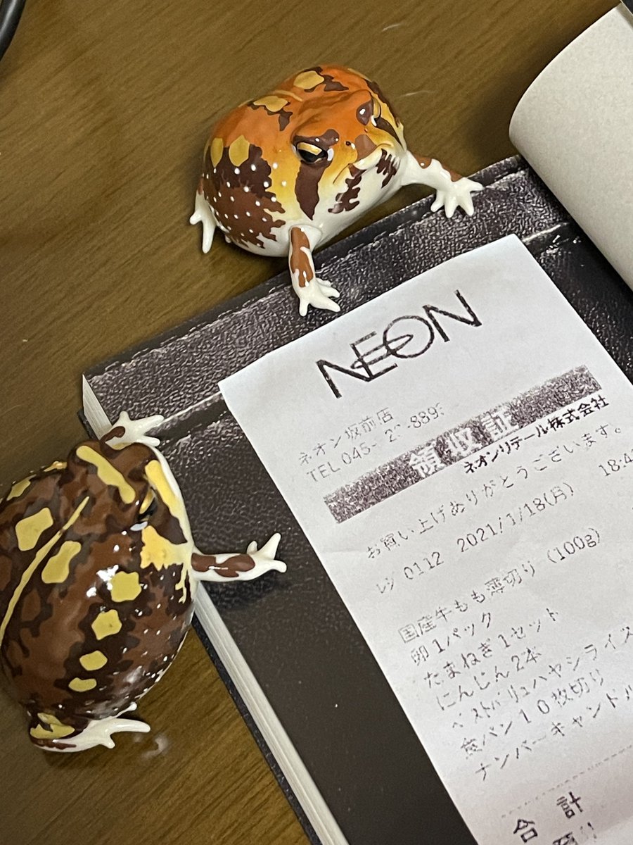 NEON、、、