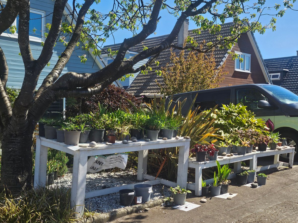Vialii's tweet photo. If all this sunny weather is inspiring you to get outside and do some planting, pop down for some fab bargains. We still have plenty plants left and money raised is going to help the local P7s with their fund raising. 🌸 🌹 🌻 🌷 Find us at 57 Churchill Drive, Bridge of Allan https://t.co/5ckvxZ3SUB