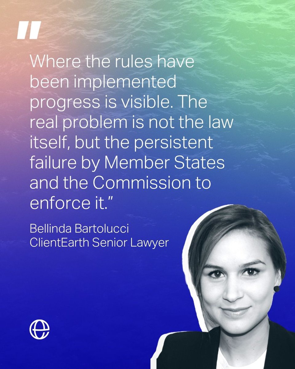 ClientEarthEUR's tweet photo. ClientEarth reaction to the European Commission’s evaluation of the #CommonFisheriesPolicy, published today ⚖️🐟

The report confirms that the #CFP “remains a very important &amp; relevant tool to manage a common natural resource and related economic activities in a changing world.” https://t.co/qbirELcmLs