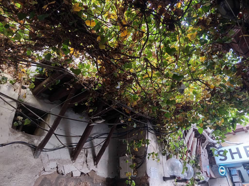 ﮼نجمه،السلطنه🇴🇲 tweet media