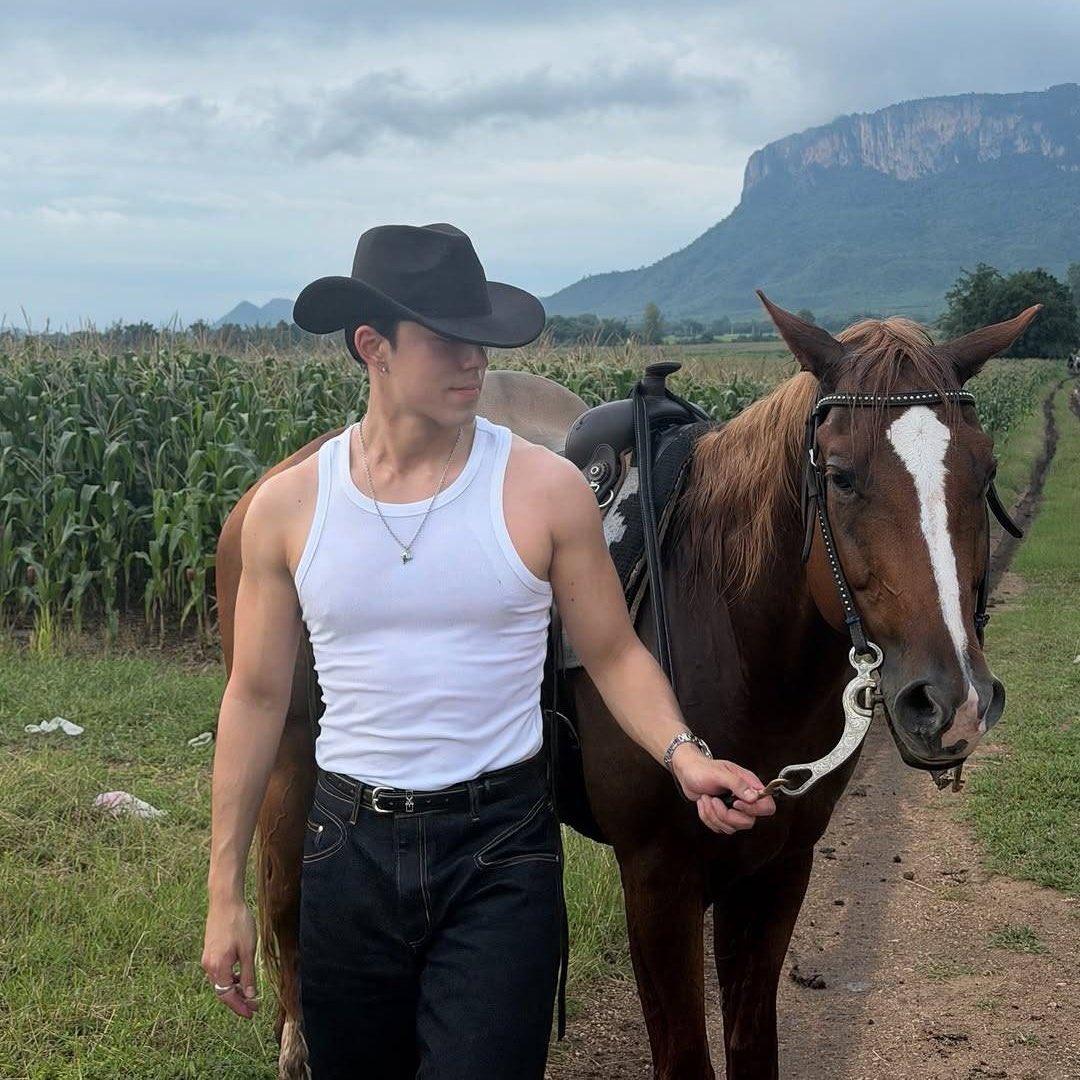 เสก ไฮโล tweet media