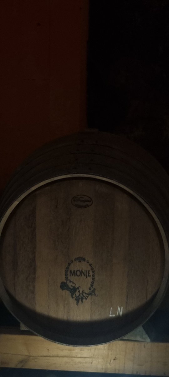 CanIslandsGreen's tweet image. Exploring authentic Tenerife🍇🌿

At Bodegas Monje, we experienced how local wine culture and sustainability go hand in hand 🍷

Supporting local = protecting the island 💚
#SustainableTourism #Tenerife #CanaryIslands