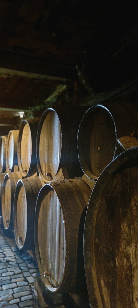 CanIslandsGreen's tweet image. Exploring authentic Tenerife🍇🌿

At Bodegas Monje, we experienced how local wine culture and sustainability go hand in hand 🍷

Supporting local = protecting the island 💚
#SustainableTourism #Tenerife #CanaryIslands