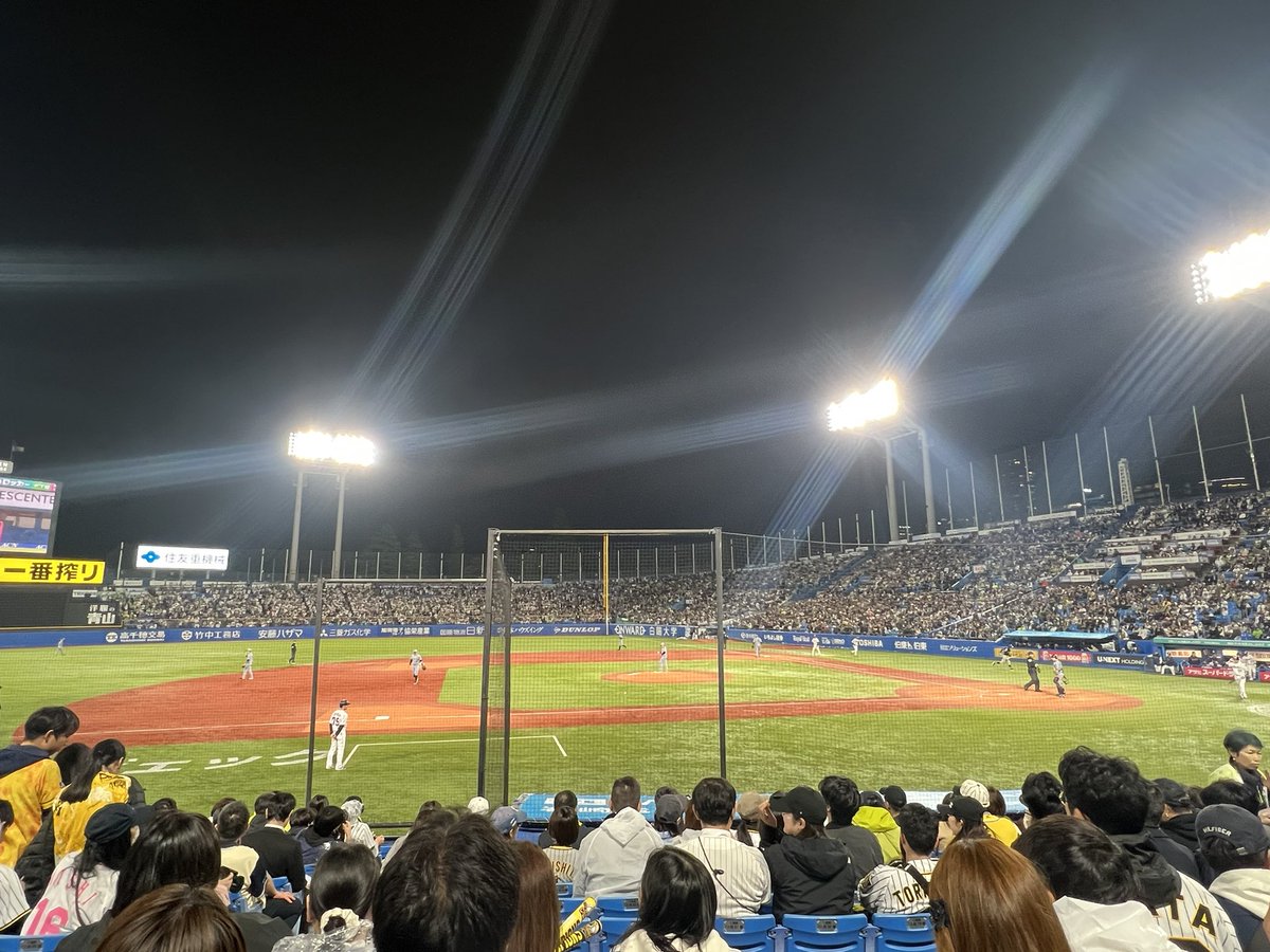 とらほーーー💛🐯🖤