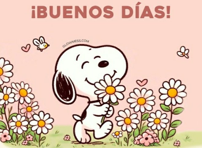 ¡Gracias a Dios por otro amanecer!

Hoy será mejor que ayer 🙏🏻

Caféciemos ☕🌬🌞🦋♥️🎀🎶🌱🌷🧿☁️🧚‍♀️💋