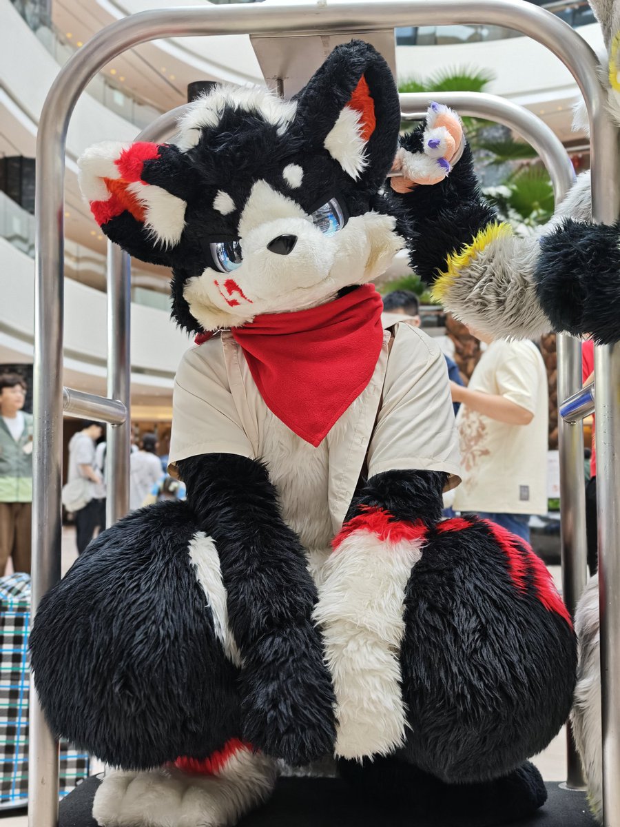 弗岚_furei tweet media